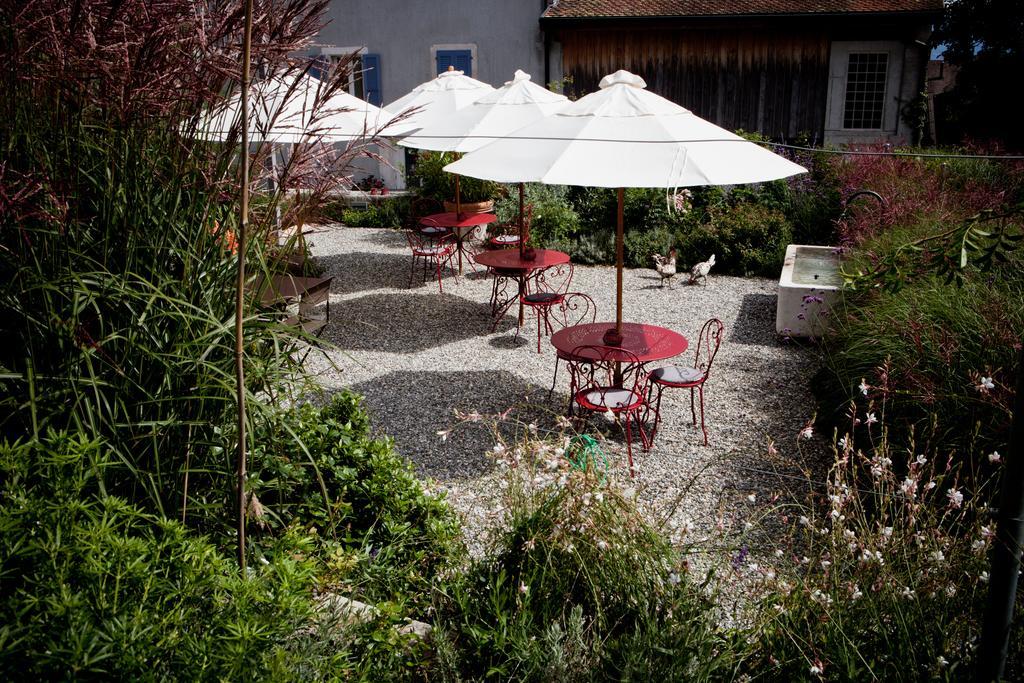 Le Coq Chantant Studios D'Hotes & Boutique Hotel St-Livres Saint-Livres Exteriér fotografie