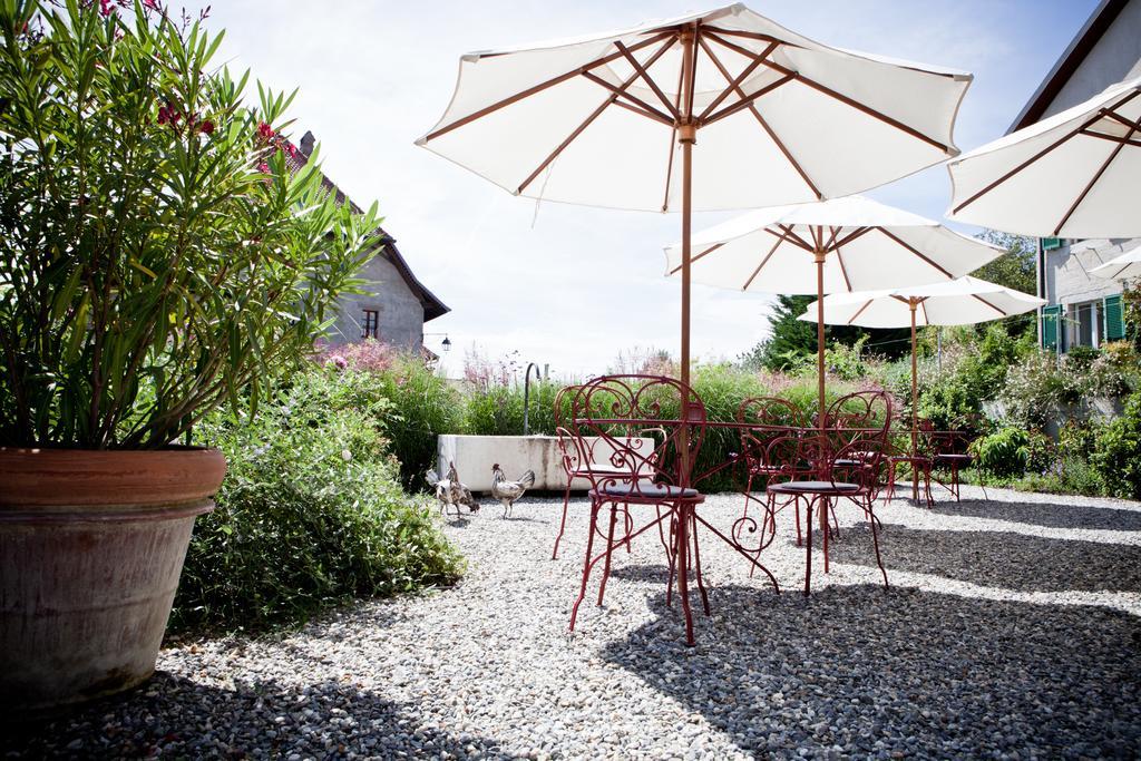 Le Coq Chantant Studios D'Hotes & Boutique Hotel St-Livres Saint-Livres Exteriér fotografie