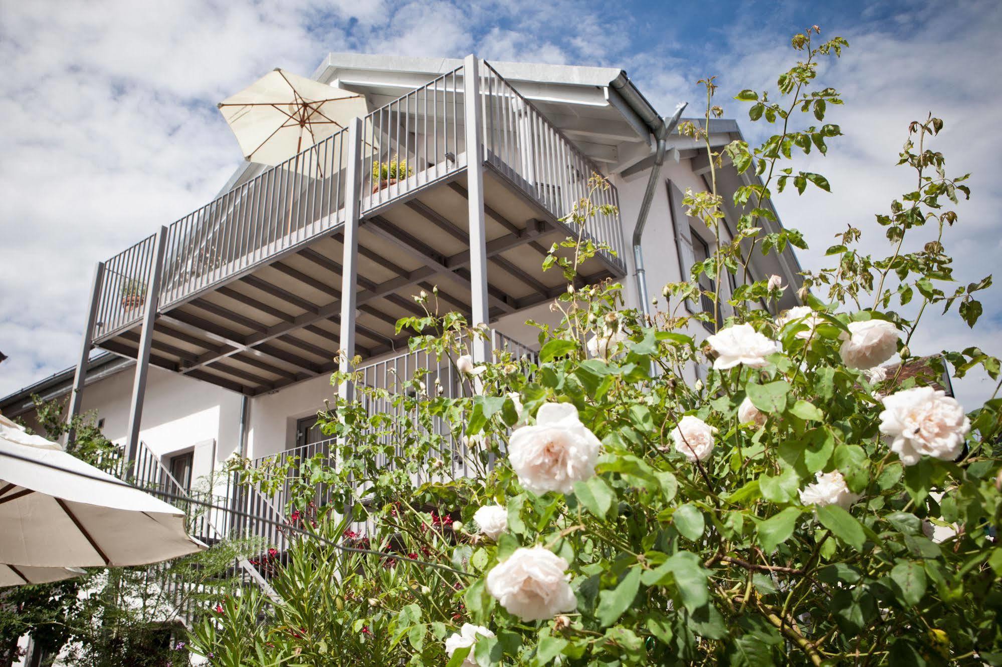 Le Coq Chantant Studios D'Hotes & Boutique Hotel St-Livres Saint-Livres Exteriér fotografie